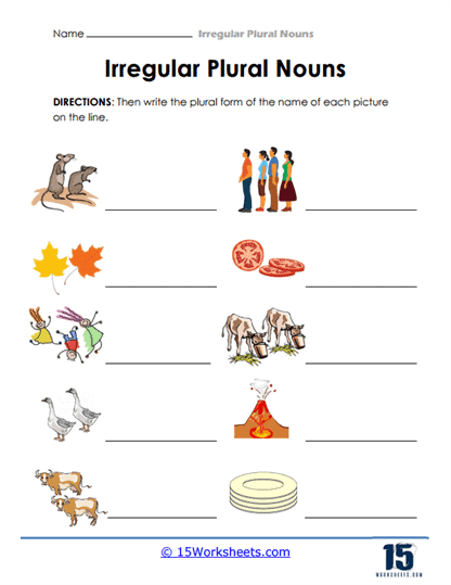 Picture-Based Plural Practice Worksheet