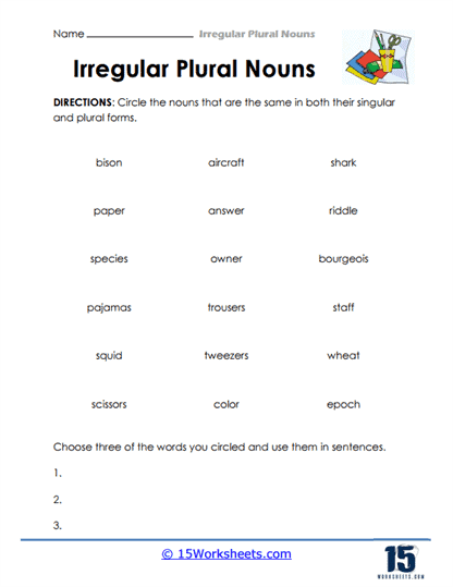 Identifying Same-Form Nouns Worksheet