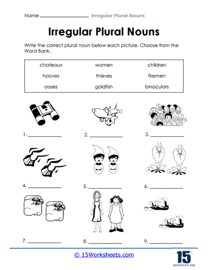 Picture Word Bank Plurals Worksheet