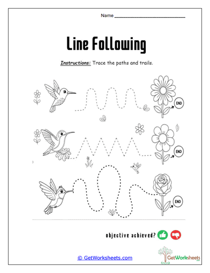 Pattern Path Precision Worksheet
