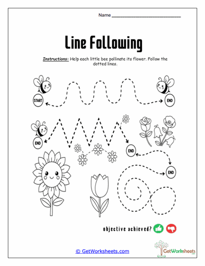 Bee to Bloom Pathways Worksheet
