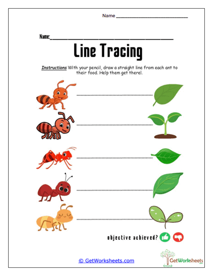 Ant Path Tracing Worksheet
