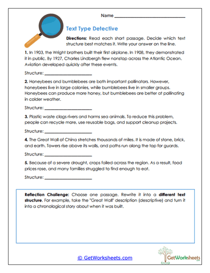 Text Type Detective Worksheet