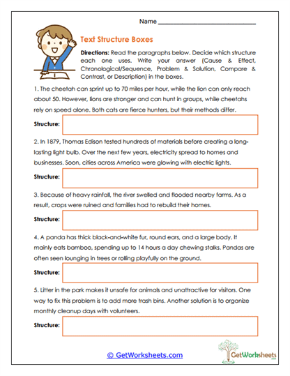 Text Structure Boxes Worksheet