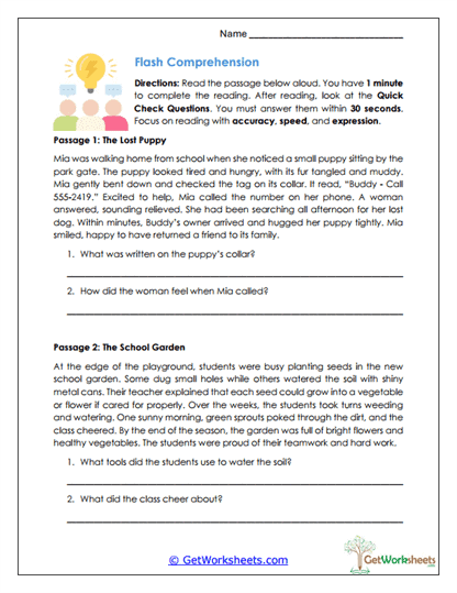 Flash Comprehension Worksheet