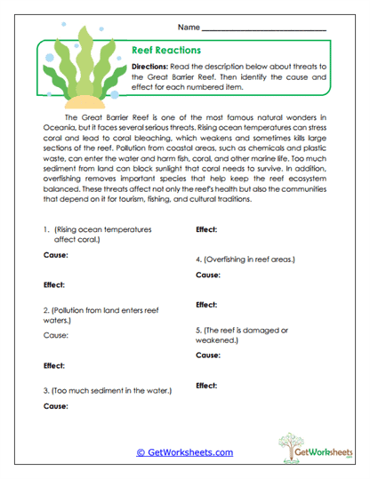 Reef Cause & Effect Worksheet