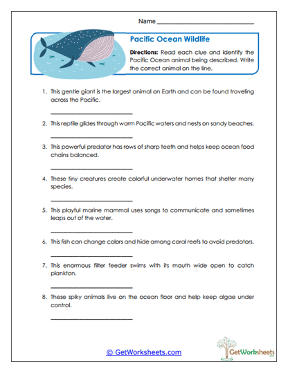 Ocean Creatures Worksheet