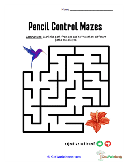 Maze Mastery Worksheet