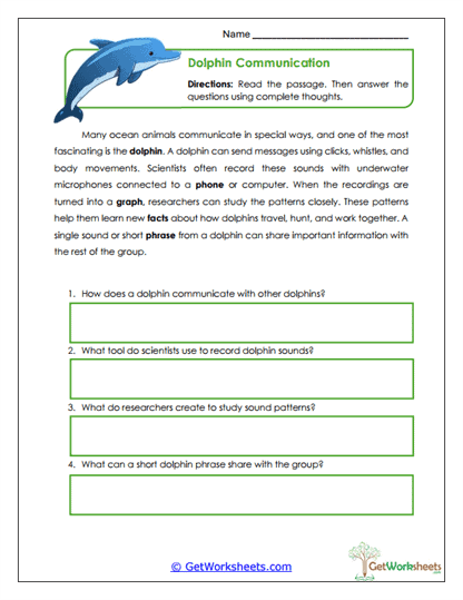 Dolphin Communication Worksheet