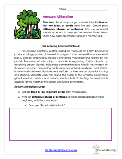Amazon Alliteration Worksheet