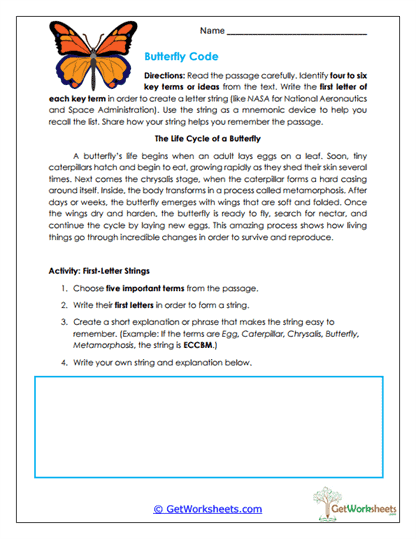 Butterfly Code Worksheet
