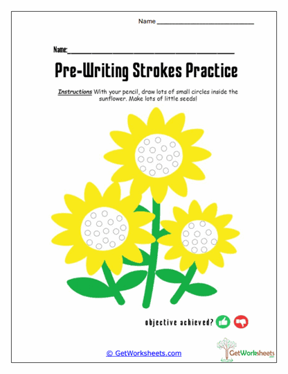 Sunflower Seed Circles Worksheet