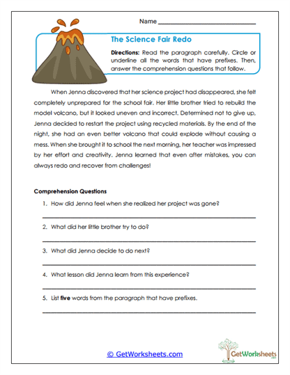 Science Fair Redo Worksheet