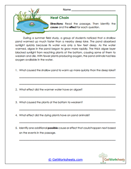 Heat Chain Worksheet