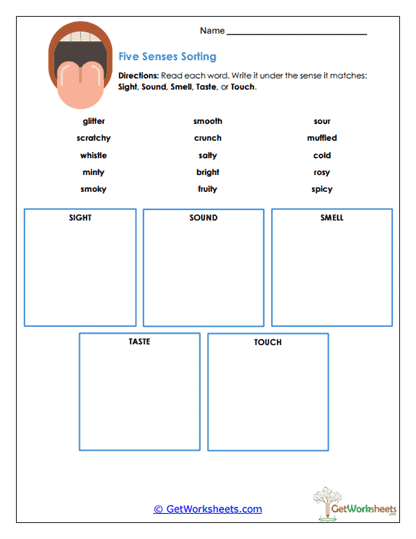 Five Way Sorting Worksheet