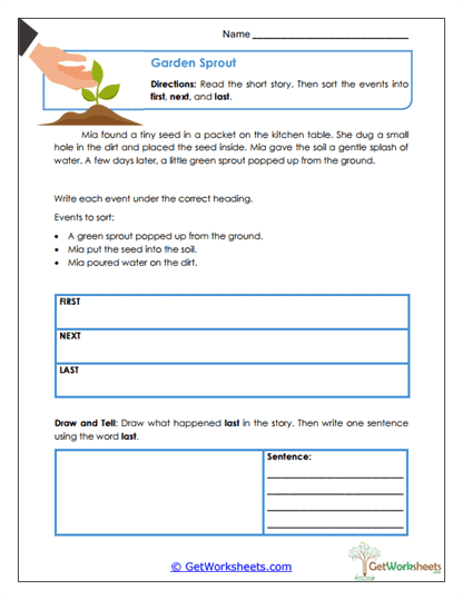 Garden Sprout Worksheet