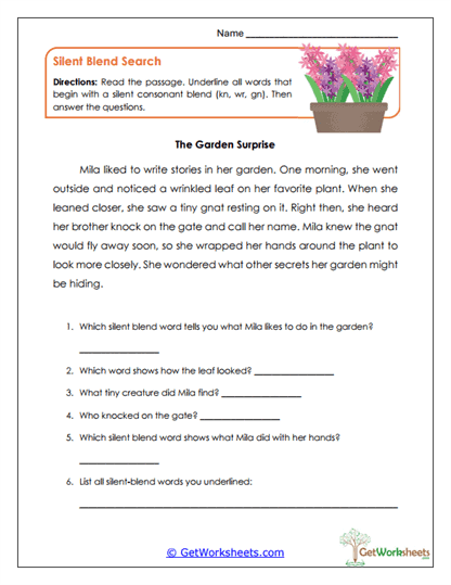 Silent Consonant Search Worksheet