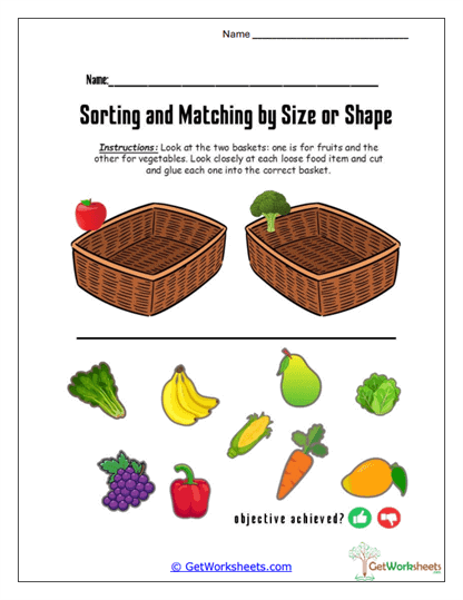 Sorting and Matching by Size or Shape Worksheets
