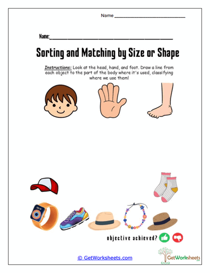 Head Hand Foot Sorting Worksheet