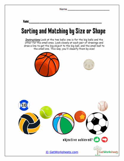 Sports Ball Sorting Worksheet