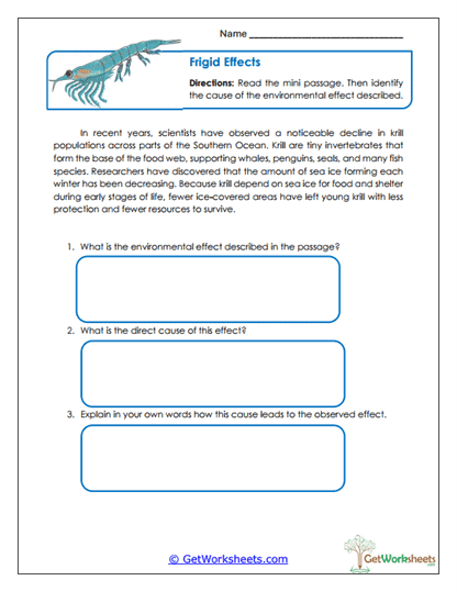 Environmental Cause and Effect Worksheet