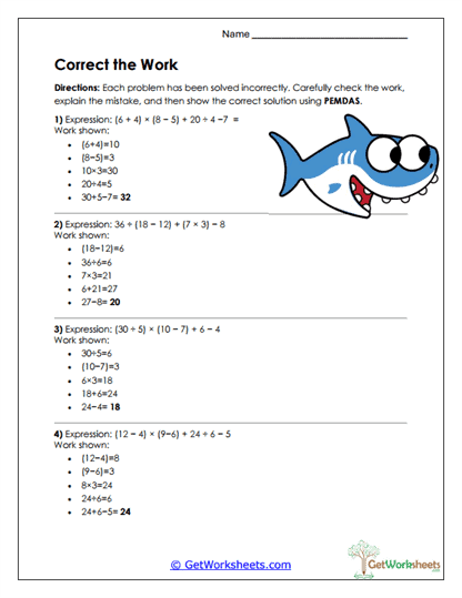 Correct the Work Worksheet