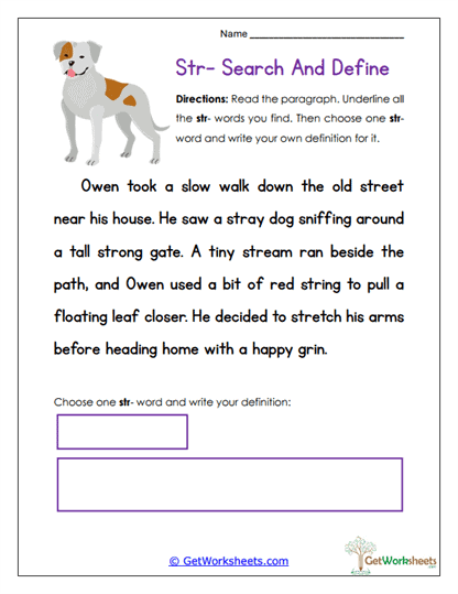 Str Search and Define Worksheet