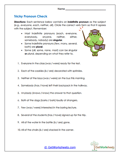 Tricky Pronoun Check Worksheet
