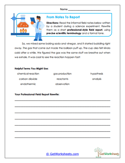 From Notes to Report Worksheet