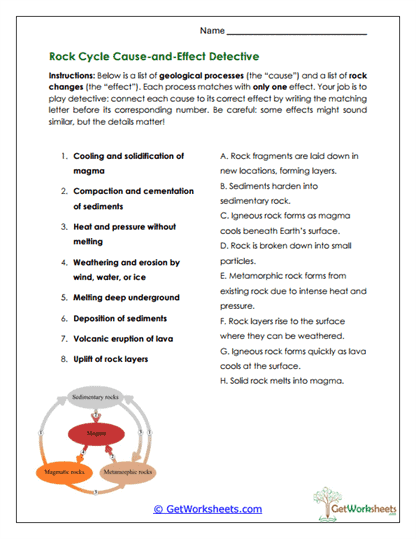 The Rock Cycle Worksheets