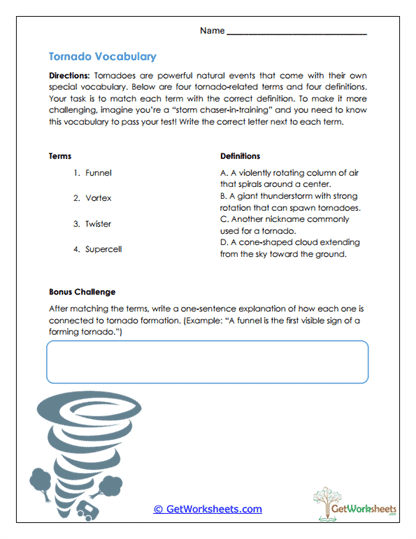 Vocabulary Worksheet