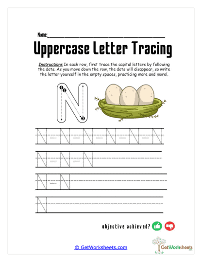 Navigate the N Worksheet