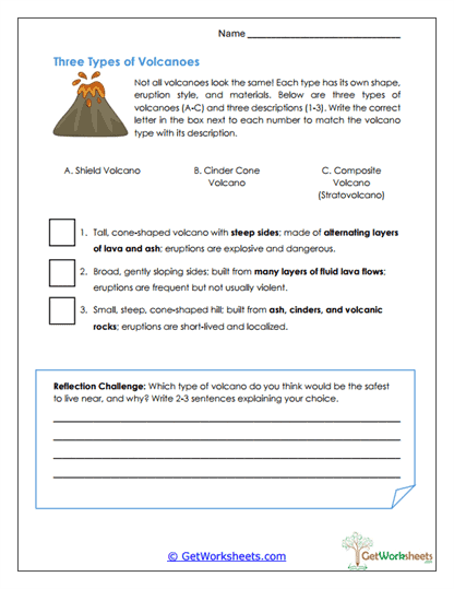 Types Matching Worksheet