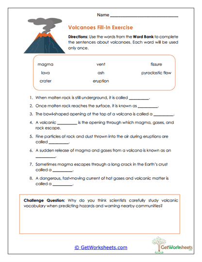 Vocabulary Fill-In Worksheet