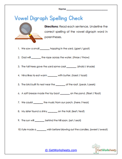 Vowel Spelling Check Worksheet
