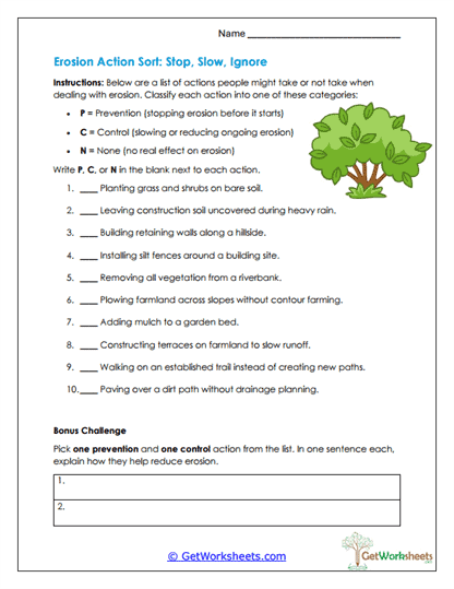 Erosion Action Sort Worksheet